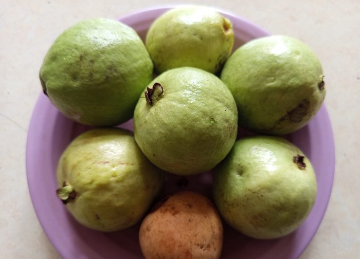 Rahasia Sehat dengan Jambu Biji Merah, Buah Super untuk Segala Usia