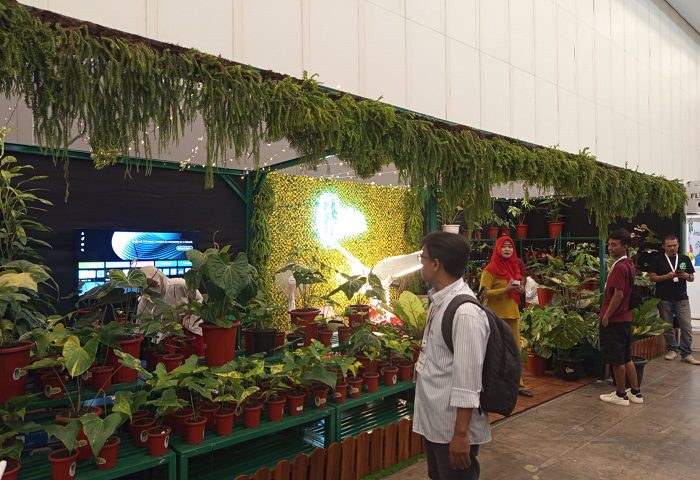 FLOII Expo 2024: Surga Bagi Pecinta Tanaman dan Pelaku Bisnis Hortikultura