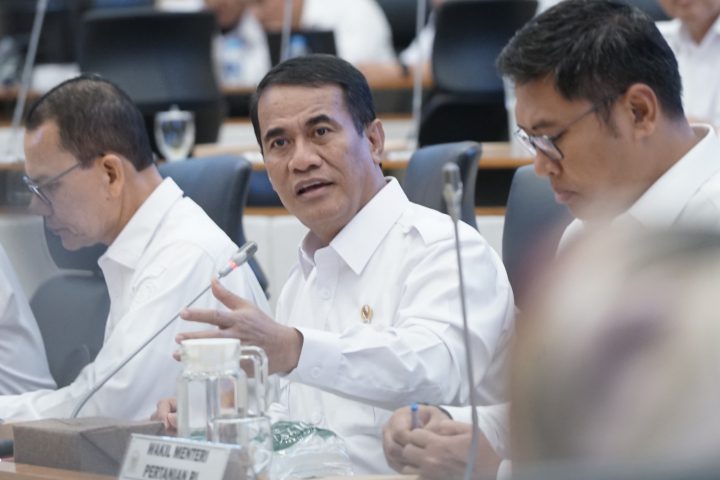 Kementan Siapkan Rp23,61 Triliun untuk Dorong Swasembada Beras 2025