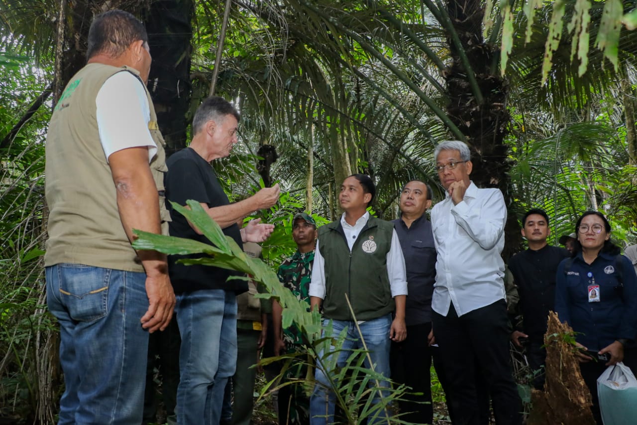 Indonesia Set to Launch Lucrative Forestry Carbon Trade, Aiming for Trillions in Revenue